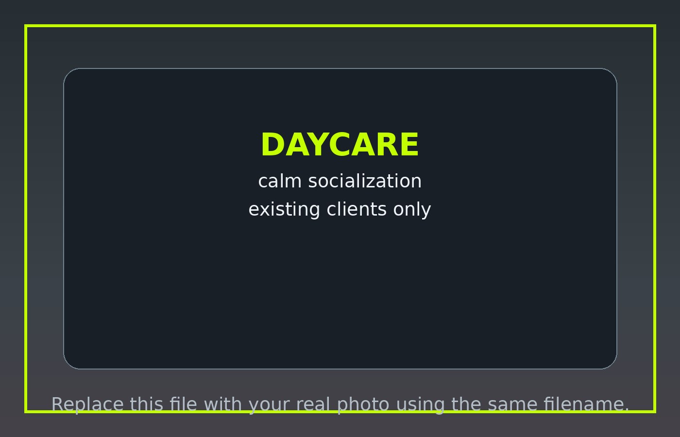 Structured daycare placeholder